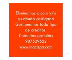 Gestion legal y crediticia