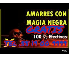 BRUJERIA GRATIS AMARRES DE AMOR!!!