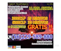 Tarot barato las 24hs