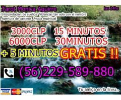 Tarot barato las 24hs