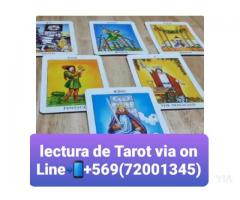 Tarot on Line