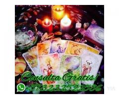 LECTURAS PSÍQUICAS Y TAROT - AMOR Y RELACIÓN - CARRERA Y DINERO, CONSULTA VIA WHATSAPP +573232522586