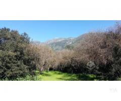 Parcela 20.000 m2 planos