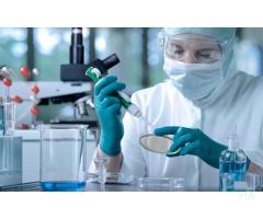 Químico Farmacéutico - Investigación y Desarrollo