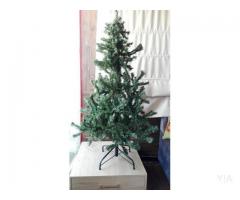 Pino, árbol de Navidad, pascua