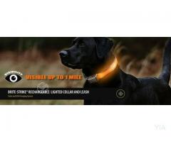 Collar de perro con luz led marca Halo (ROJO)