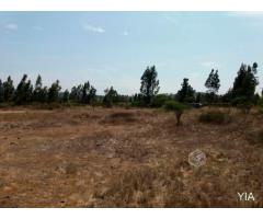 TERRENOS 1000 m2 - Quillaicillo, Las Cruces-