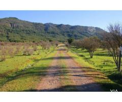 Parcela en Lago Colbun Machicura 6.700 mts2