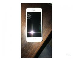 IPhone 5s 16 GB con accesorios y caja