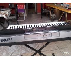 Teclado Yamaha psr-e 443