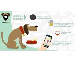 GPS para perros UBICADOG