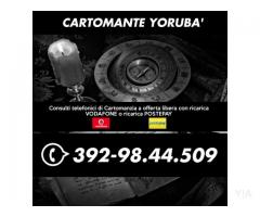 (¯`·._(¯`·._(Cartomante Yoruba')_.·´¯)_.·´¯)