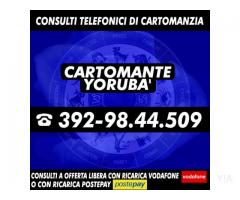 (¯`·._(¯`·._(Cartomante Yoruba')_.·´¯)_.·´¯)