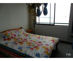 Arriendo departamento amoblado por dias y año corrido