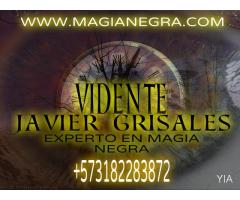 vidente experto en magia negra javier grisales