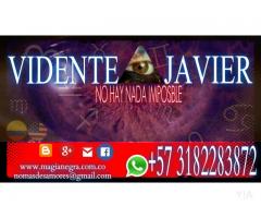 vidente javier grisales experto +{+}+